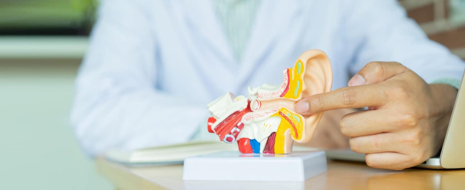 Audiologist points to a model of an ear Audiologist points to a model of an ear